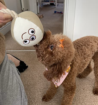 Milo the Mill Monster Natural Canvas