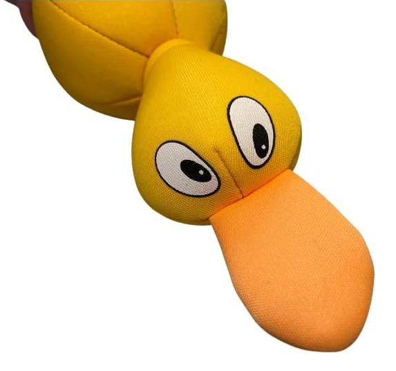 Paddock Pals Floating Dog Toy | Shark, Duck & Turtle