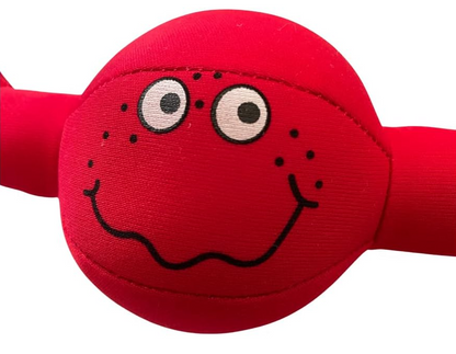 Paddock Pals Floating Dog Toy | Shark, Duck & Turtle