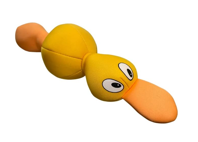 Paddock Pals Floating Dog Toy | Shark, Duck & Turtle