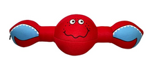 Paddock Pals Floating Dog Toy | Shark, Duck & Turtle