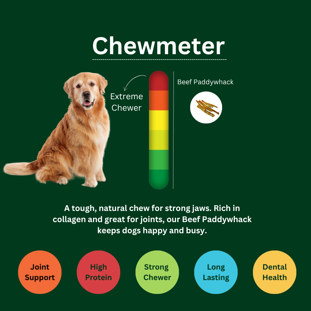 Beef Tendon Long-Lasting Natural Chew