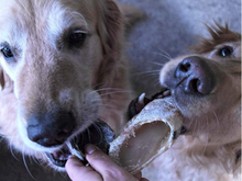 Natural Beef Hooves – Long-Lasting Chews for Strong Dogs