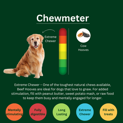 Natural Beef Hooves – Long-Lasting Chews for Strong Dogs