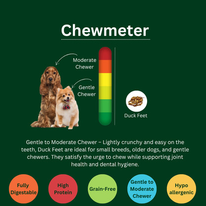 Natural Duck Feet – Crunchy, Air-Dried Dog Chew