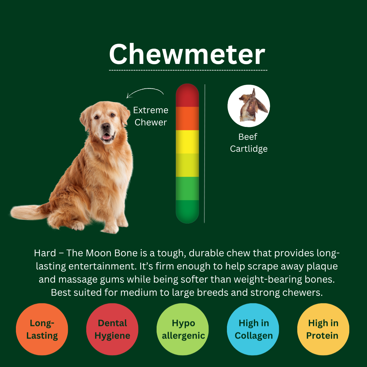 Natural Beef Cartilage (Moon Bone) for Dogs