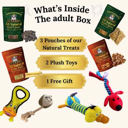 Monthly Treat Box
