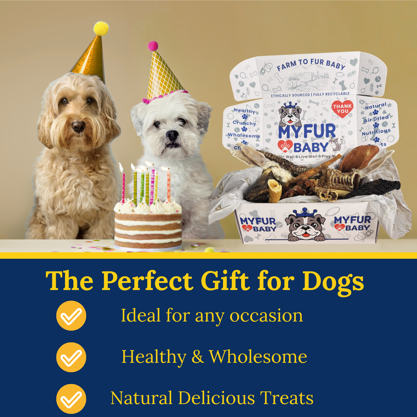 My Fur Baby Heritage Treat Box