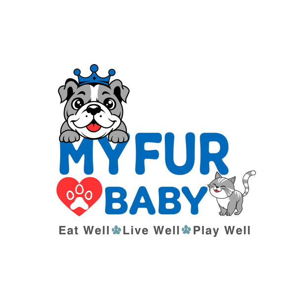 My Fur Baby