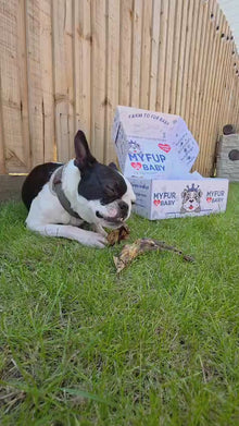 Monthly Treat Box
