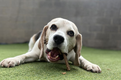 Natural Rabbit Meat Strips for Dogs